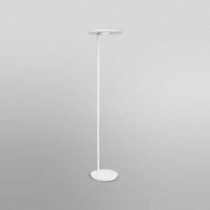LEDVANCE SUN@Home Panan Floor LED álló lámpa kép