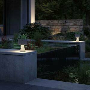 Paulmann Concrea LED deco lámpa, virágosláda kép