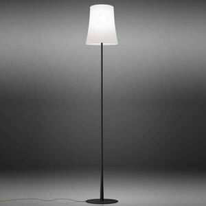 Foscarini Birdie Easy állólámpa fekete kép