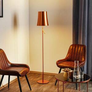 Foscarini Birdie LED Lettura állólámpa réz kép