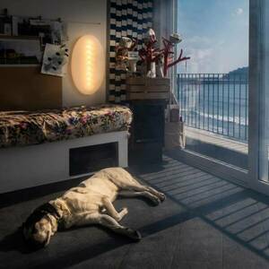 Foscarini Superficie media LED fali lámpa, 46 cm kép