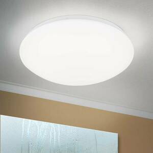 LED mennyezeti lámpa Nedo ívelt, Ø 33 cm kép
