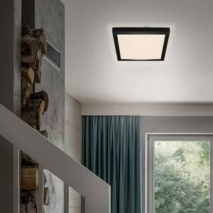 LED mennyezeti lámpa Fledo, 3 000 K, fekete/fehér kép