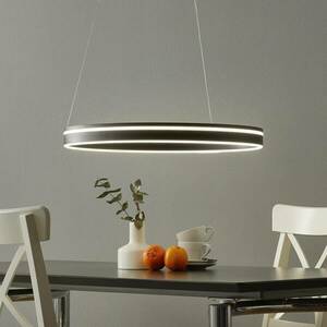 Paul Neuhaus Q-VITO LED függő lámpa 59 cm antracit kép