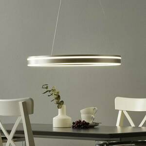 Paul Neuhaus Q-VITO LED függő lámpa 59 cm acél kép