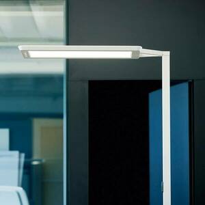 LED állólámpa Yara.single 4 000 K, BT, LTX, ezüst kép