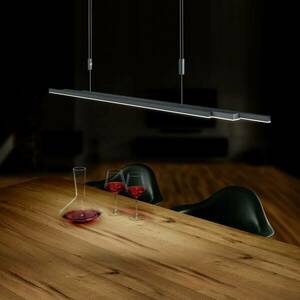 BANKAMP L-lightLINE LED ZigBee le antracit kép