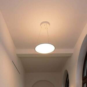 LED függő lámpa 3420 kerek, 3 000 K fehér kép