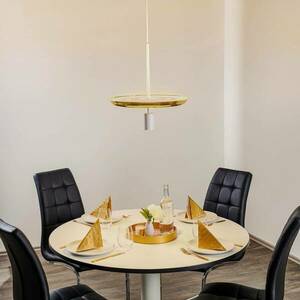 Prandina Landing S50 LED függő lámpa sárgaréz kép
