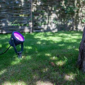 LED földi tüske MiniLeto, RGBW, okos, dimmelhető kép