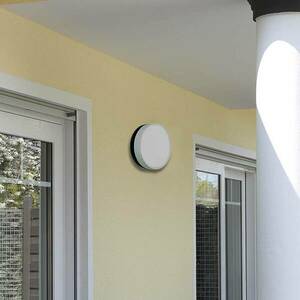 LED-es fali lámpa 6307 antracit, IP65, Ø 19 cm kép