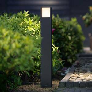 Philips Arbour LED árbóc lámpa antracit IP44 kép