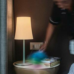Foscarini Birdie Easy asztali lámpa zsálya zöld kép