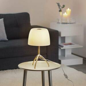 Foscarini Lumiere 30 piccola szájjal fújt üveg kép