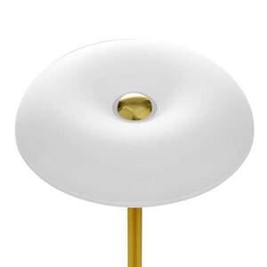 BANKAMP Vanity LED lámpa érintésvez. sárgaréz kép