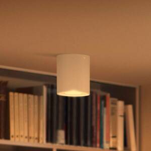 Philips Hue Pillar LED spot szab. kapcsoló, fehér kép