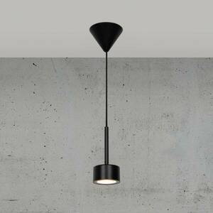 Clyde LED-es függőlámpa, egylámpás, dimmelhető kép