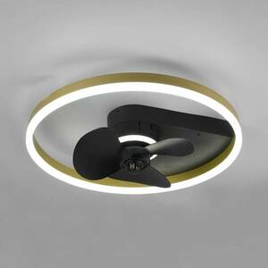 Borgholm mennyezeti ventilátor LED-es, CCT fekete kép