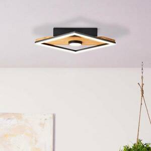 Woodbridge LED mennyezeti lámpa, egy izzós kép