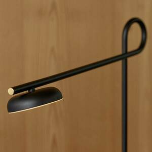 Northern Salto LED állólámpa, fekete kép