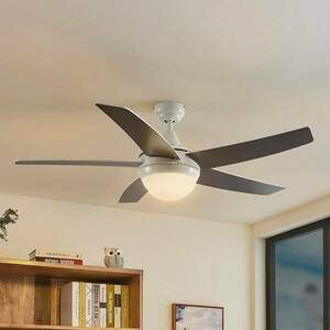 Starluna Auraya menny. ventilátor fehér/tölgyfa kép