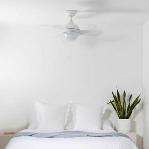 LED mennyezeti ventilátor Hvar, CCT, dimmelhető kép