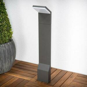 LED ösvény lámpa Nevio 60 cm kép