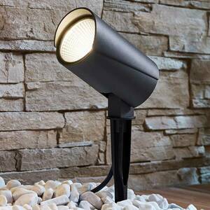 LED kültéri spot Anton földi tüskével kép