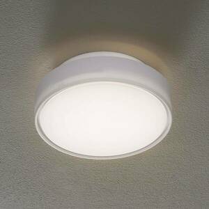 LED mennyezeti lámpa Hatton IP65 25 cm kép
