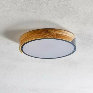 LED mennyezeti lámpa Borneo fa kerettel kép