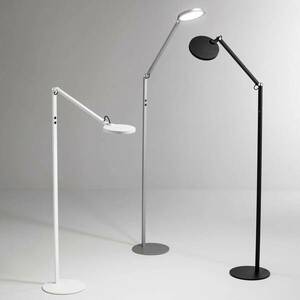 LED állólámpa Regina, 1 izzós, fekete kép