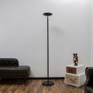 Malea LED álló lámpa, fekete kép