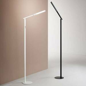 LED állólámpa ideális, egylángú, CCT, fehér kép