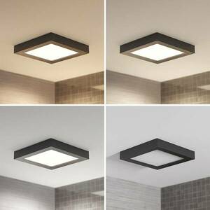 Prios LED mennyezeti lámpa Alette, fekete, 24 W, CCT, fényerőszabályzó, kép