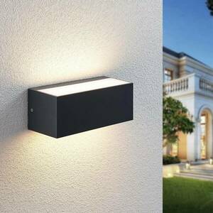 LED kültéri fali lámpa Nienke, IP65, 23 cm kép