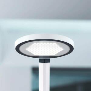 LED asztali lámpa PARA.MI FTL 102 R fehér 940 kép