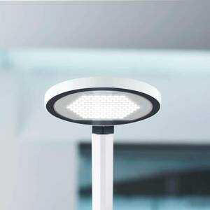 LED asztali lámpa PARA.MI FTL 102 R fehér 930 kép