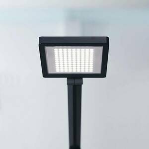 LED asztali lámpa PARA.MI FTL 108 R fekete 940 kép