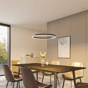 Arcchio Albiona LED függő lámpa, 1 gyűrű, 60 cm kép