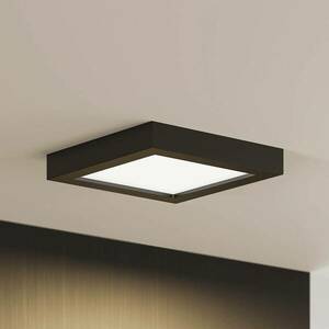 Prios LED mennyezeti lámpa Alette, fekete, 18 W, CCT, fényerőszabályzóval kép