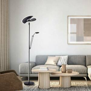 PURE Mutil LED állólámpa, olvasólámpa, antracit kép