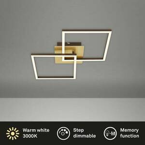 LED mennyezeti lámpa Frame, arany, dimmelhető, 2-lámpás, arany színű kép