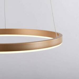 Ritus LED függőlámpa, Ø 39, 3cm, matt sárgaréz kép