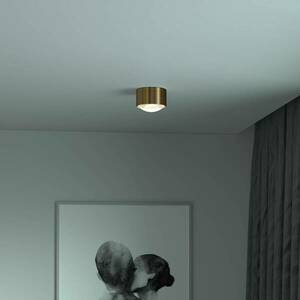 Puk! 120 One LED spotlámpa lencse matt, sárgaréz kép