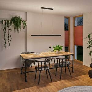 Paulmann Aptare LED-es függőlámpa, ZigBee, fekete kép