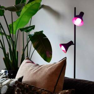Calex Smart E14 P45 4, 9W LED csepp RGBW kép