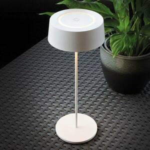 LED akkus asztali világítás Cocktail, dimm, fehér kép