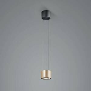 BANKAMP Impulse Flex LED függő lámpa egy izzós kép