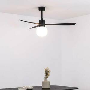 Mennyezeti ventilátor Amelia Ball LED lámpa fekete kép