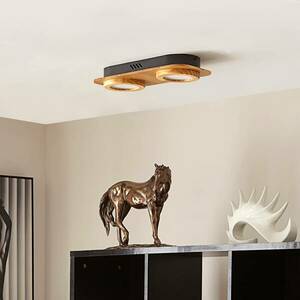 Lindby Joren LED spotlámpa fa 2 izzós kerek kép